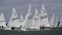 FF Europeans 5023