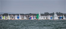 FF Europeans 5699