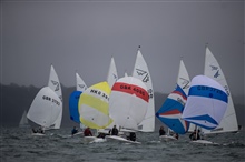 FF Europeans 7036